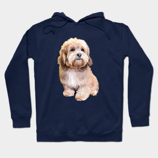 Shihpoo Shipoo Doodle Poodle Cutie Pie! Hoodie